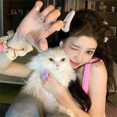 剧场版 假面骑士Drive SURPRISE FUTURE